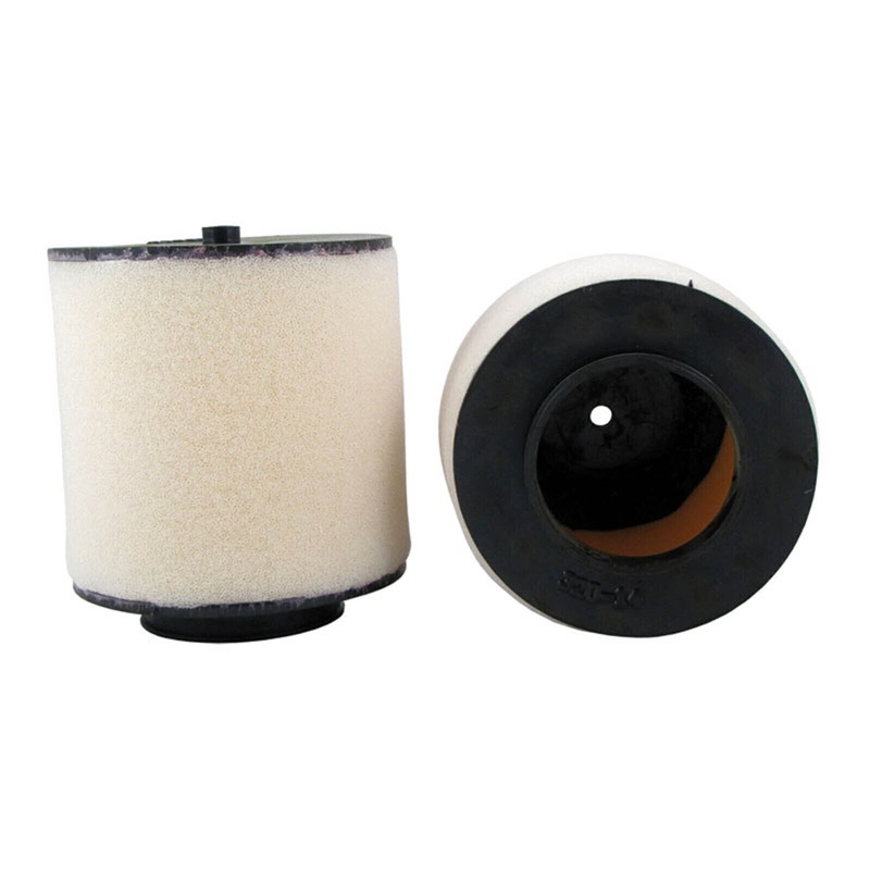 Air Filter Honda TRX250EX (SPORTRX250EX) '01-'20